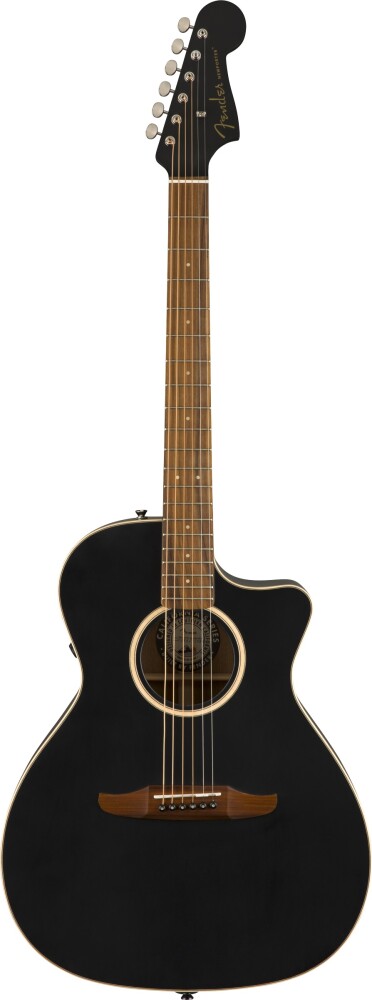 Fender Newporter Special Matte Black